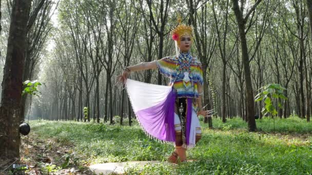 Nora est une danse folklorique classique et régionale de Thaïlande — Video