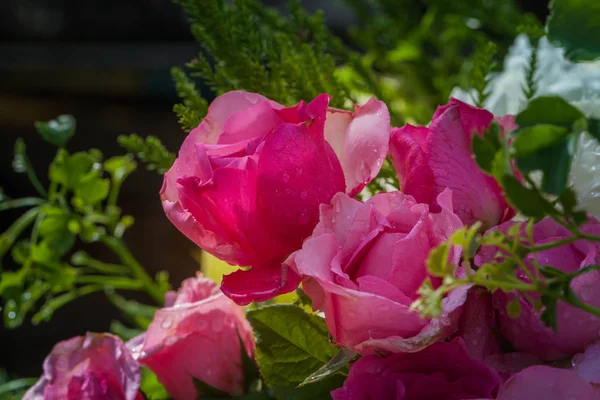 Dekoracja kwiaty róże o targ kwiatowy — Zdjęcie stockowe