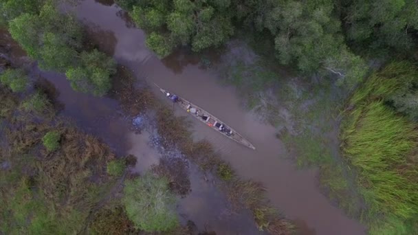 长的尾巴小船在大水森林里 一条长尾船带游客在雨林里旅行 — 图库视频影像