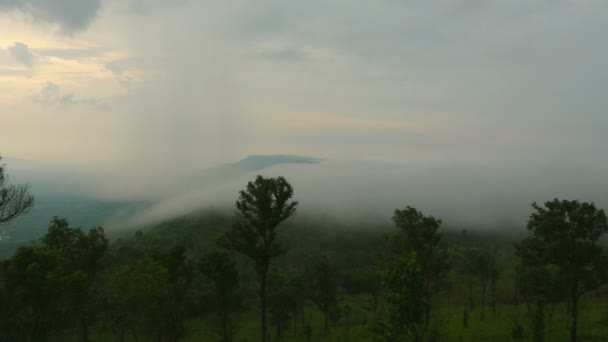 雾吹在山顶上的丘陵 在一个完美的森林在铁道部欣考山 — 图库视频影像