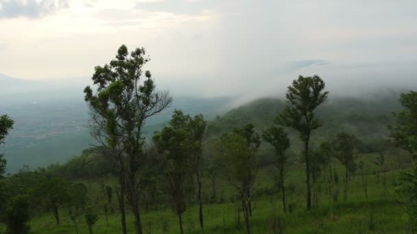 Niebla Que Sopla Sobre Colina Hasta Las Estribaciones Bosque Perfecto — Vídeo de stock