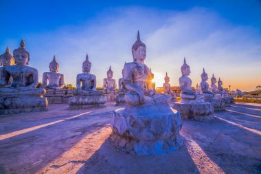 a lot of Buddha statues have many sizes are arranged in a row in the large yard of the place of religious activities. clipart