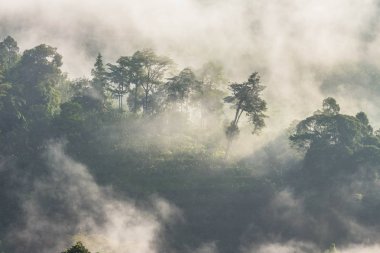 yavaş dağ benziyor üst kapak sis bir deniz üfleme sis yüzer. Soğuk havanın olduğu sabah dağda kayan sis sis bir deniz yapmak.