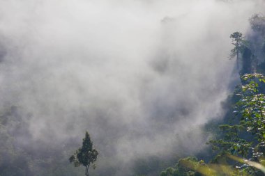 yavaş dağ benziyor üst kapak sis bir deniz üfleme sis yüzer. Soğuk havanın olduğu sabah dağda kayan sis sis bir deniz yapmak.