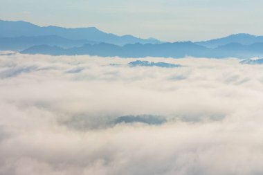 tepenin üzerinde deniz sis. Soğuk havanın olduğu sabah dağda kayan sis sis bir deniz yapmak.