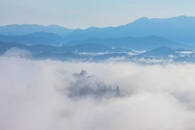 tepenin üzerinde deniz sis. Soğuk havanın olduğu sabah dağda kayan sis sis bir deniz yapmak.