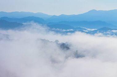 tepenin üzerinde deniz sis. Soğuk havanın olduğu sabah dağda kayan sis sis bir deniz yapmak.