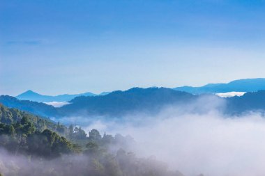 tepenin üzerinde deniz sis. Soğuk havanın olduğu sabah dağda kayan sis sis bir deniz yapmak.