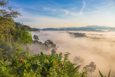 tepenin üzerinde deniz sis. Soğuk havanın olduğu sabah dağda kayan sis sis bir deniz yapmak.