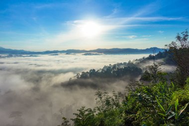 tepenin üzerinde deniz sis. Soğuk havanın olduğu sabah dağda kayan sis sis bir deniz yapmak.