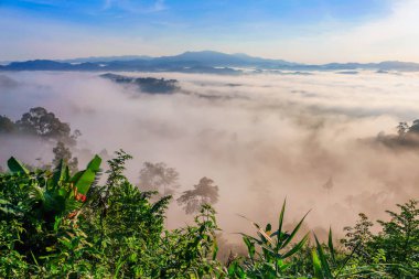 yavaş dağ benziyor üst kapak sis bir deniz üfleme sis yüzen.
