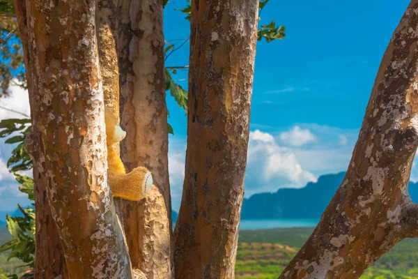 Samet Nangshe Widokowy Można Zobaczyć Pięknej Scenerii Wyspy Morzu Andamańskim — Zdjęcie stockowe