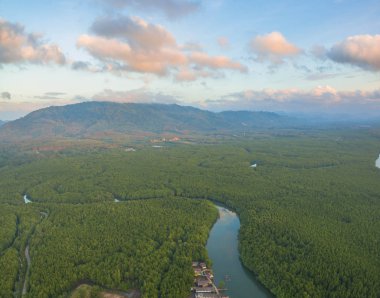 Ban Samchong Balık tutma villag için mangrov orman içinde bir kanal