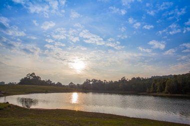 Kırmızı yaprakları çiçek bahar sezonunda Kao Yai Milli parkında başlar