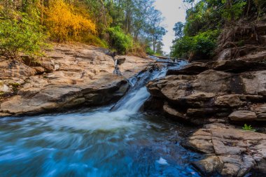Mae Sa şelale Doi Suthep ve DOI Pui Ulusal Park, Chiang Mai, Tayland