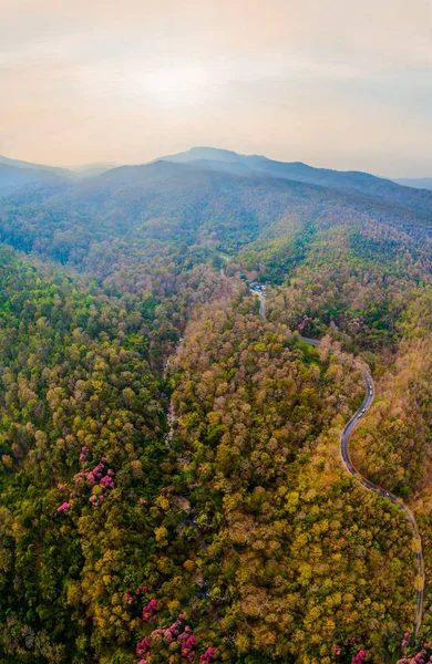 ドイステープ プイ国立公園 チェンマイ タイでメイ の滝の上の空中写真 — ストック写真