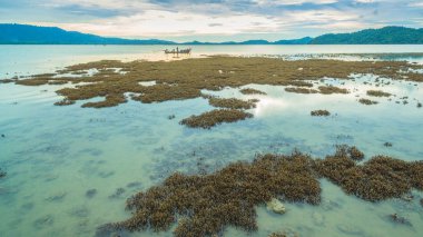Havadan fotoğraf düşük gelgit sırasında çok görebilirsiniz grafisi coral reef Hea çevresinde ve Pa Yu Adası ve Ngum Adası'nda Ao Kung alan Phuket Adası.