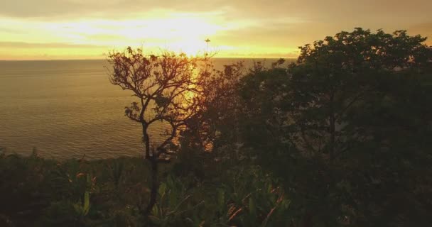 Pha 바닷가 관점의 숨겨진 파라다이스 비치와 비치를 있습니다 Phomthep 케이프 — 비디오