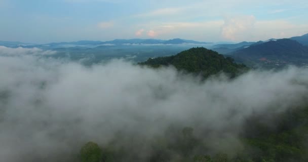 Mist Mountain Tropical Rainforest Beautiful Sunrise Scenery View Phang Nga — Stock Video