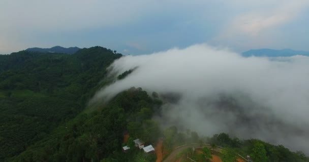 熱帯雨林と美しい日の出の風景山の上霧パンガー バレー ビュー — ストック動画