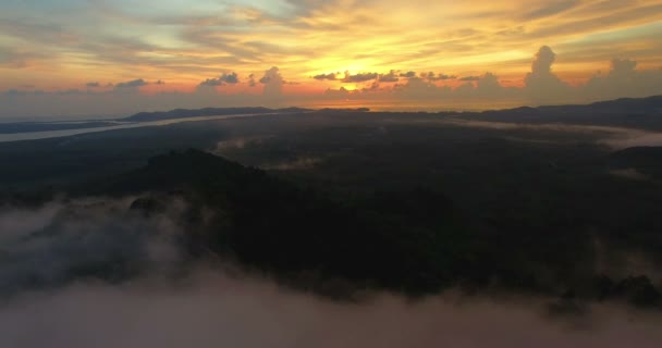 Mist Twilight Khao Kai Nui Viewpoint — Stock Video