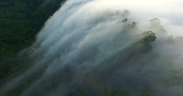 Волна Тумана Стекающего Предгорья — стоковое видео
