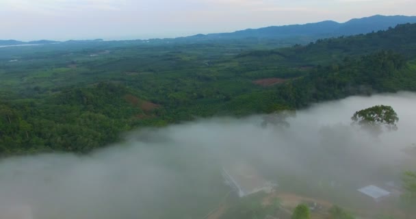 Mist Cover Khao Kai Nui Viewpoint Valley Phang Nga — Stock Video