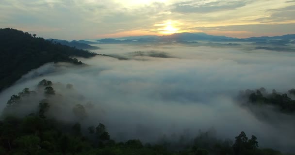 Névoa Acima Montanha Floresta Tropical Bela Vista Nascer Sol Vale — Vídeo de Stock
