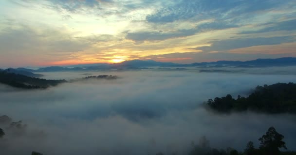 熱帯雨林と美しい日の出の風景山の上霧パンガー バレー ビュー — ストック動画