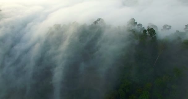 Волна Тумана Стекающего Предгорья — стоковое видео