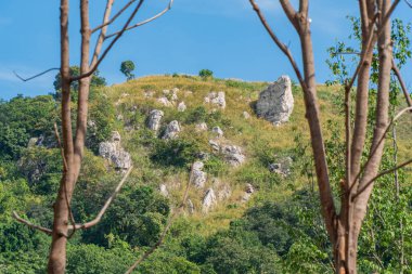Dağın tepesine bir sürü beyaz taş sıkışmış.