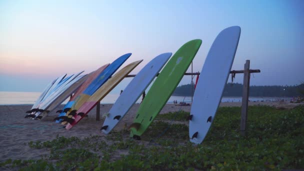 Farbenfroher Surfbrettständer Strand Zur Miete Kata Strand — Stockvideo