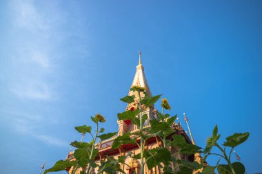 Mavi gökyüzünde Chalong Pagoda. Wat Chalong, Phuket 'teki en büyük ve en saygın kişidir.