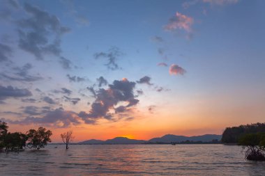 Klong Mudong Phuket 'teki Mangrove ormanının üzerinde gün batımı. Çamur kanalı Chalong körfezine bağlanıyor. Orada mükemmel mangrov ormanları var..