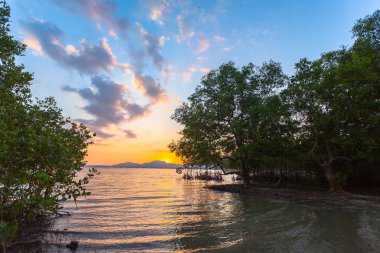 Klong Mudong Phuket 'teki Mangrove ormanının üzerinde gün batımı. Çamur kanalı Chalong körfezine bağlanıyor. Orada mükemmel mangrov ormanları var..