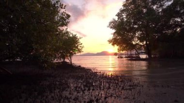 Klong Mudong Phuket 'teki Mangrove ormanının üzerinde gün batımı. Çamur kanalı Chalong körfezine bağlanıyor. Orada mükemmel mangrov ormanları var..
