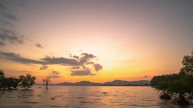 Klong Mudong Phuket 'teki Mangrove ormanının üzerinde gün batımı. Çamur kanalı Chalong körfezine bağlanıyor. Orada mükemmel mangrov ormanları var..