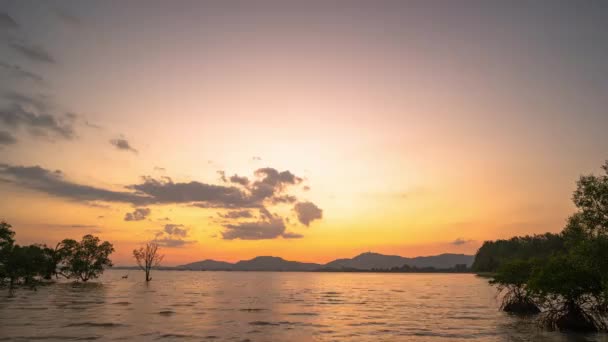 在Chalong海湾上空的落日时间 位于Klong Mudong Phuket红树林上方的落日 牡丹运河与赤龙湾相连接 那里有完善的红树林 — 图库视频影像