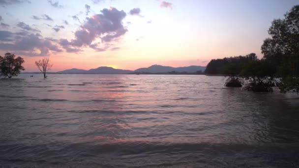 Pôr Sol Acima Floresta Manguezais Klong Mudong Phuket Mudong Canal — Vídeo de Stock