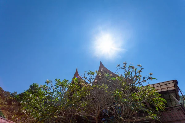 Сонце Світить Крізь Дерево Синьому Небі Біля Будинку Стилі Тайського — стокове фото