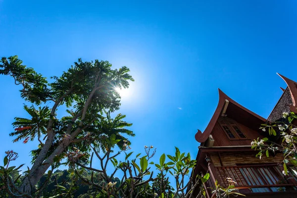 Słońce Świeci Przez Drzewo Niebieskim Niebie Pobliżu Domu Stylu Tajskim — Zdjęcie stockowe