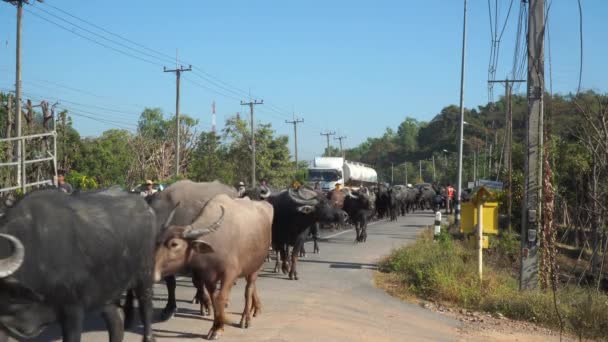 Nakornnayok Tailandia Diciembre 2019 Durante Estación Seca Las Personas Que — Vídeo de stock