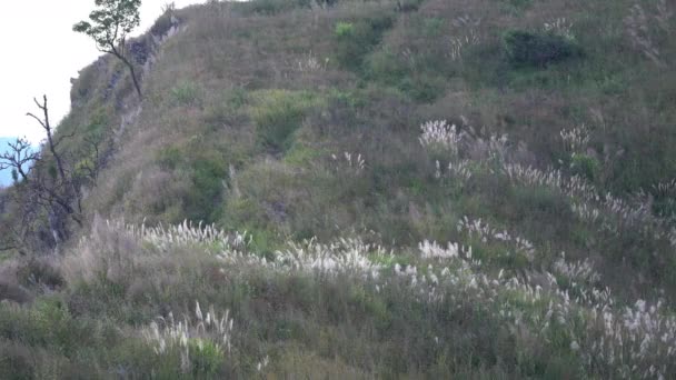 Landskap Soluppgång Ovanför Bergskammen Doi Pha Phung Nan Provinsen Thailand — Stockvideo