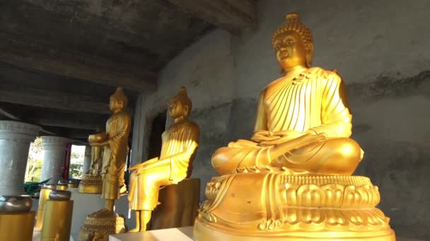 Arany Buddha Szobor Különböző Testtartásban Phuket Nagy Buddha Szobor Alatt — Stock videók