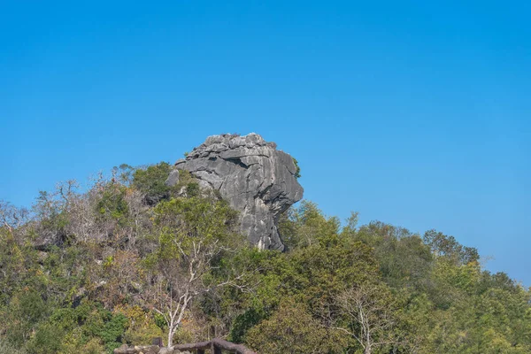 位于泰国北部的南部高山上 萨缪尔多夫的狮首石 — 图库照片