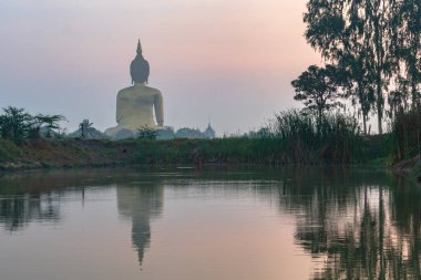 Gün doğumunda bataklıktaki en büyük Buda 'nın yansıması.