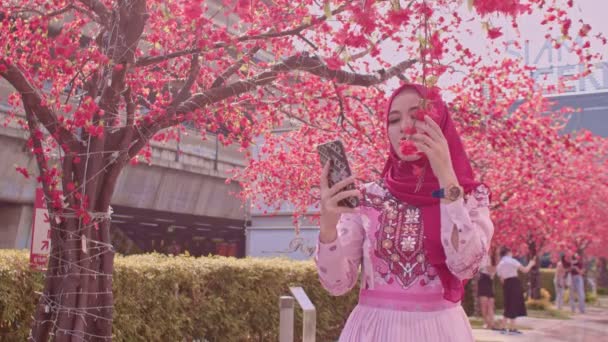 Linda Dama Selfie Con Teléfono Móvil Bajo Sakura Flor Siamsquar — Vídeos de Stock