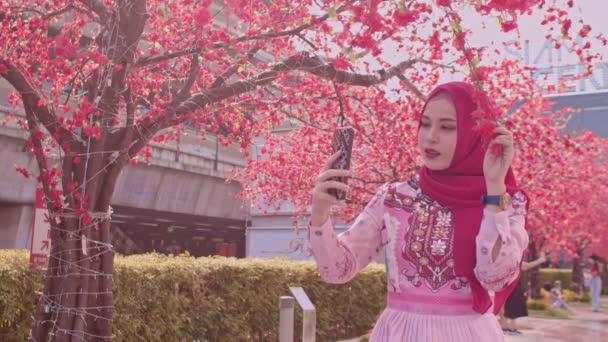 Mignonne Dame Selfie Avec Son Téléphone Mobile Sous Sakura Fleur — Video