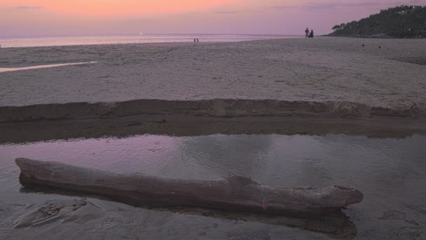 木头卡在一条流入卡隆海滩大海的天然运河里 — 图库视频影像