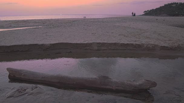 Logs Stuck Natural Canal Flows Sea Karon Beach — Stock Video